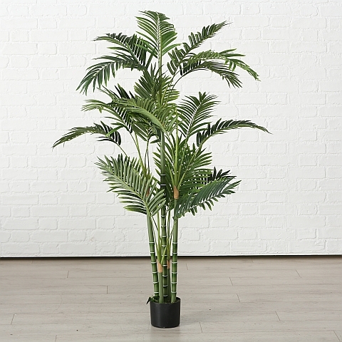 Boltze Home Palmboom In Pot 165cm