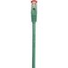 Renkforce RF-5228502 Câble réseau Vert 0,25 m Cat6 S/FTP Rond