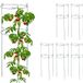 Relaxdays Plantensteun Set van 6