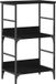 vidaXL Étagère - 2 couches - 50 x 33 x 82 cm - Bois traité - Chêne noir