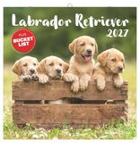 Labrador Neumann Verlage GmbH & Co Labrador Retriever 2027