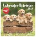 Labrador Neumann Verlage GmbH & Co Labrador Retriever 2027