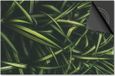 Dietrix Inductie beschermer 65x52 - afdekplaat inductie mat - Dietrix Kookplaat beschermer - Base - Leaves - 15 Groene sprieten
