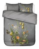 Essenza Ficaria Dekbedovertrek Biologisch Katoensatijn Grijs - Eenpersoons – 140x200/220 cm