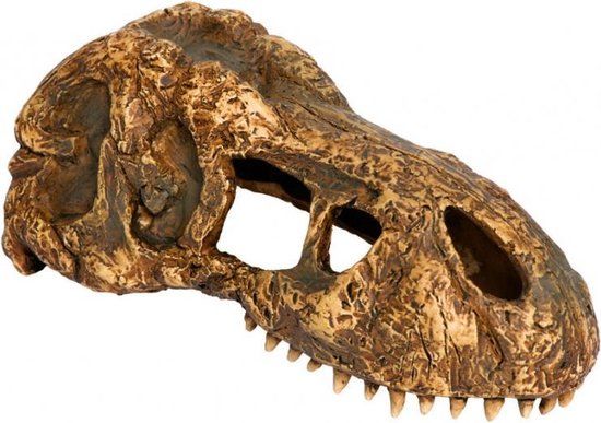 Exo Terra Dino Shelter T-Rex Nano - 14x7x5.5 cm - Brown