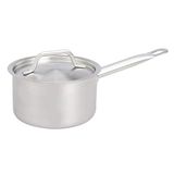 Amazon Basics Steelpan met rechte zijkant, roestvrij staal, aluminium coating en deksel, 1,9 liter, zilver