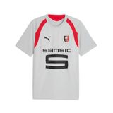 PUMA Maillot d'entraînement Stade Rennais FC Homme, Accessoires, Gris, XXL