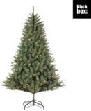 Black Box Kunstkerstboom Norwood groen H155 x dia. 97 cm met 200 LED warm wit