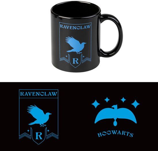 Grupo Erik Harry Potter Ravenclaw Mok