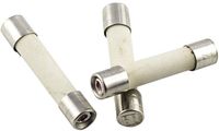 ESKA 527.27 52727 Buiszekering (Ø x l) 5 mm x 25 mm 10 A 250 V Snel -F- Inhoud 10 stuk(s)