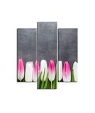 Homemania Wandafbeelding, 3 stuks, natuur, voor woonkamer, slaapkamer, meerkleurig, 57 x 0,3 x 60 cm, HM203MDF39, MDF