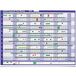 Sasco 12 maanden ongedateerde magnetische A1 wandplannerkit met magnetische vormen en datumstrips (W855 x H630 mm)