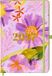Wochenkalender Coppenrath Wochenkalender 2027 - Purple
