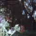 Let Lebanon Hanover - Let Them Be Alien (LP)