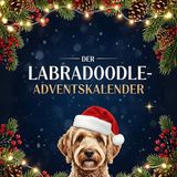 Der FlipFlop Der Labradoodle-Adventskalender