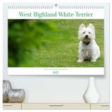 West CALVENDO West Highland White Terrier - Your charming companion (High Quality Premium Wall Calendar 2027 DIN A2 landscape)