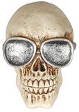 FIESTAS GUIRCA Doodshoofd met bril van kunsthars, 11 cm.