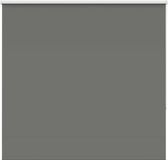 vidaXL - Rolgordijn - verduisterend - 155x130 cm - stofbreedte 151,6 cm - grijs