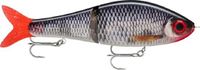 Rapala Super Shadow Rap Glide Live Roach 11cm