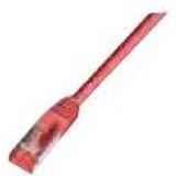 Wirewin - Verbindingskabel - RJ-45 (M) naar RJ-45 (M) - 30 m - STP - CAT 6 - afgeschermd - rood