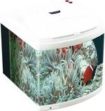 Aquatic Nature Evolution Pearl White Aquarium - 37L - Wit