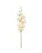 HEMA Fleur Artificielle Dendrobium 55 Cm Caoutchouc Blanche (blanc)