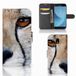 B2Ctelecom Samsung Galaxy A30 Telefoonhoesje met Pasjes Cheetah