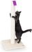 Unyqoos Poteau griffoir pour grands chats - Beige/Blanc - Peluche/Sisal