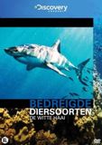 Baeckens Discovery Bedreigde Diersoorten - De Witte Haai (DVD)