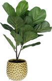 Mega Collections Plantenpot/bloempot Pebblo - keramiek/geglazuurd - geel - druppels - D15 x H13 cm