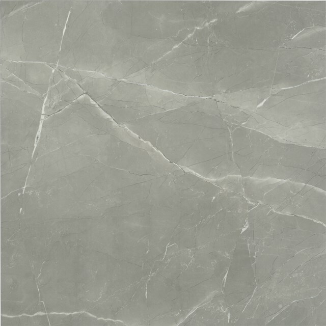 Maxaro Frost grey Vloer-/Wandtegel | 60x60 cm Grijs Natuursteenlook