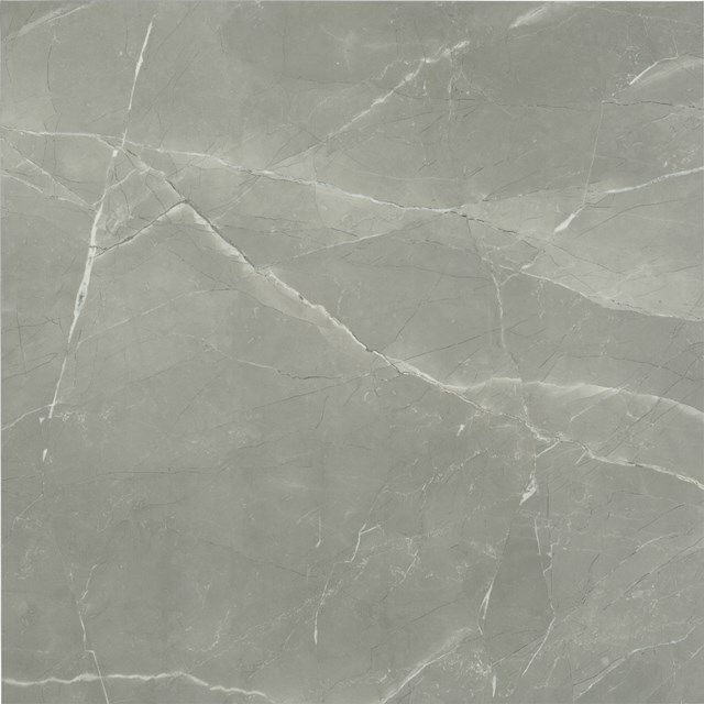 Frost Grey Floor/Wall Tile | 60x60 cm Grey Natural Stone Look