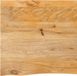 vidaXL Tafelblad met natuurlijke rand 60x60x3,8 cm massief mangohout