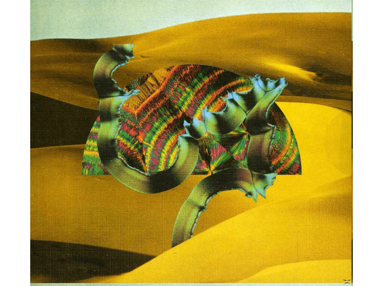 CAROLINE Django Django - Django Django CD