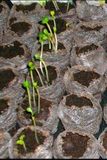 Libri GmbH Le Manuel de la Permaculture : Étapes Simples pour Concevoir Votre Oasis de Jardin Durable Broché