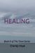 HEALING: Book III of THE TOWN Series