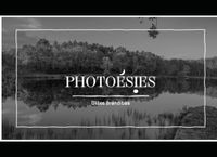 Photoésie: Des mots aux impressions