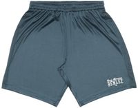 Benlee Alexus Korte Broek Blauw M Man