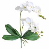 Jasming Kunstmatige Phaleanopsis Bloemen Nep Orchideeën Bladeren Takken voor Thuis Bonsai Tuindecoratie (Wit)