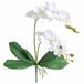 Jasming Kunstmatige Phaleanopsis Bloemen Nep Orchideeën Bladeren Takken voor Thuis Bonsai Tuindecoratie (Wit)