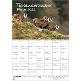 Seelenzauber Animal Magic Planner DIN A2 open – kalender 2022 baby's en dieren baby's – Soul Magic
