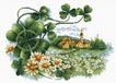 Needleart Volledige Borduurpakketen Volwassenen - Voorbedrukt - Scenery Clover Landschap klaver op aida