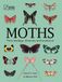Moths: Their biology, diversity and evolution