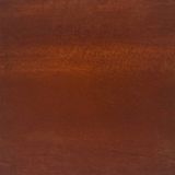 VidaXL Plantenbak Staal Roestkleur 100 x 100 x 40 cm
