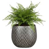 Mica decorations Bloempot / plantenpot Madeira - zilver - terracotta - 18 x 18 cm - schubbenpatroon