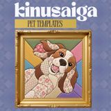 Kinusaiga Pet Template Book: 35 Beginner-Friendly Templates Square for Fabric Art