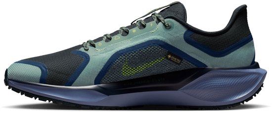 Nike Air Zoom Pegasus 41 GTX Heren Hardloopschoenen - Cannon Obsidian - Maat 42.5
