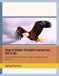 Wings of Wonder: The Eagle’s Journey from Nest to Sky: 40 Inspiring Rhymes of Growth, Courage, and Flight for Young Explorers