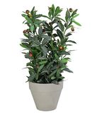 Dehner Kunstplant olijfplant, ongeveer 20 x 20 x 42 cm, pot 7,5-12,5 cm, polyester/metaal/papier, groen/grijs