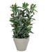 Dehner Kunstplant olijfplant, ongeveer 20 x 20 x 42 cm, pot 7,5-12,5 cm, polyester/metaal/papier, groen/grijs